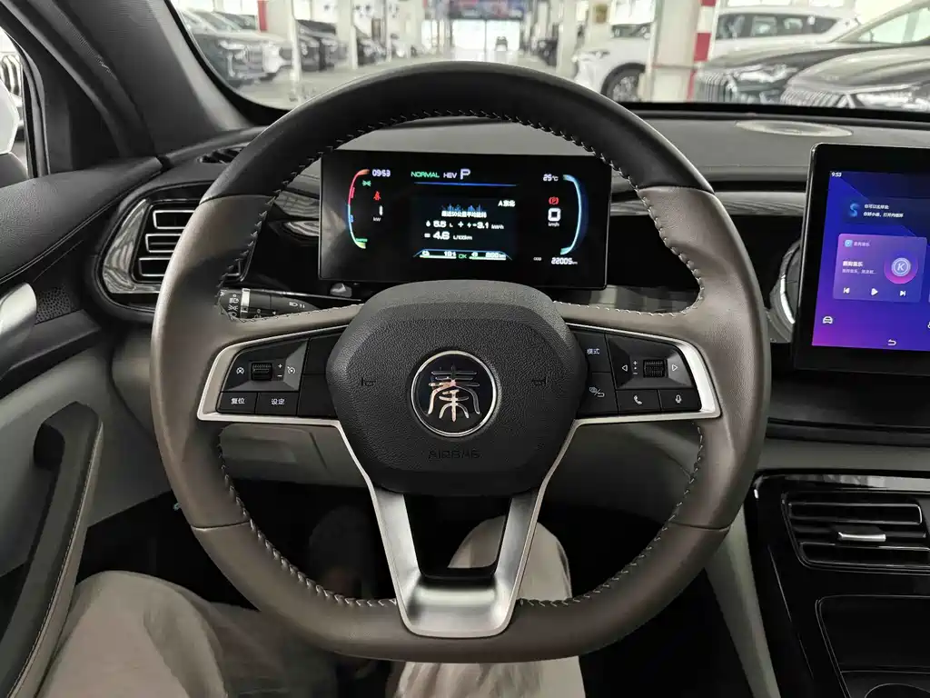 BYD Qin PLUS — фото 18