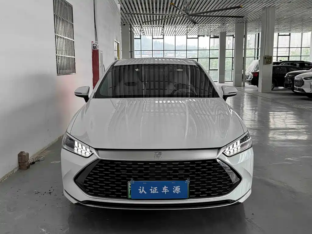 BYD Qin PLUS — фото 4