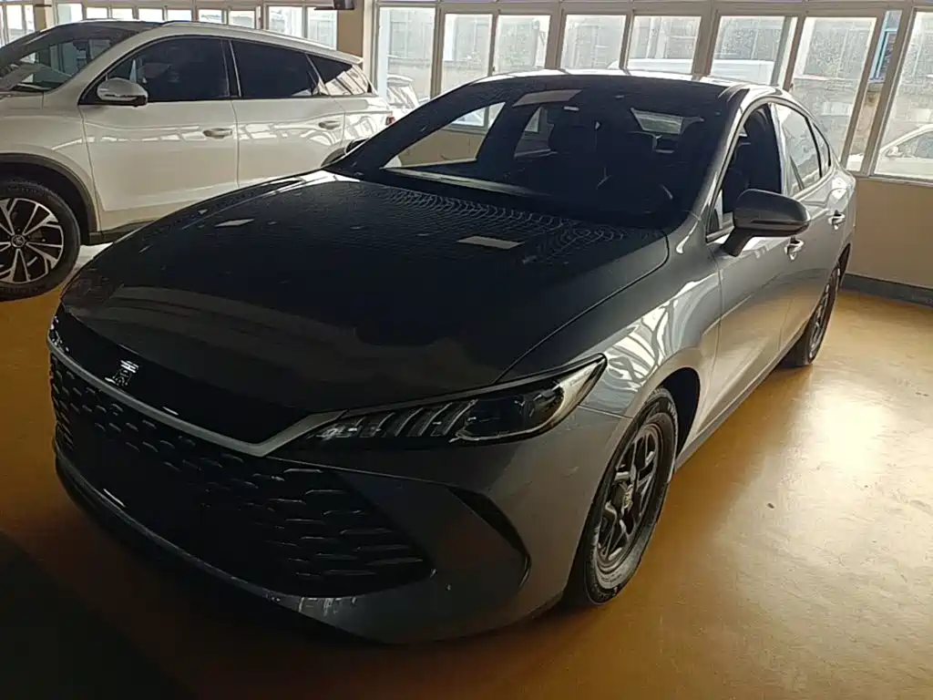BYD Qin PLUS — фото 2