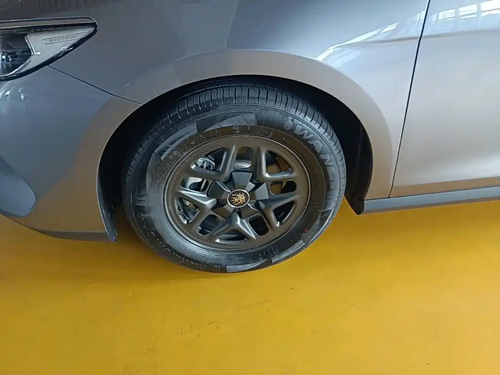 BYD Qin PLUS — фото 23