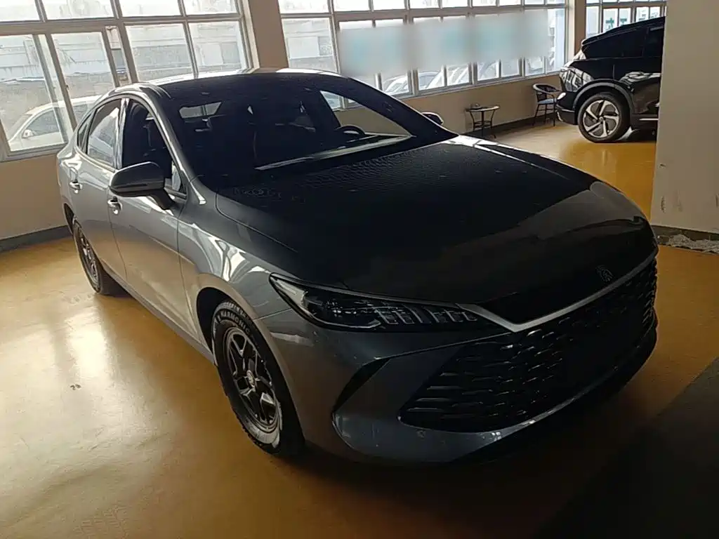BYD Qin PLUS — фото 4