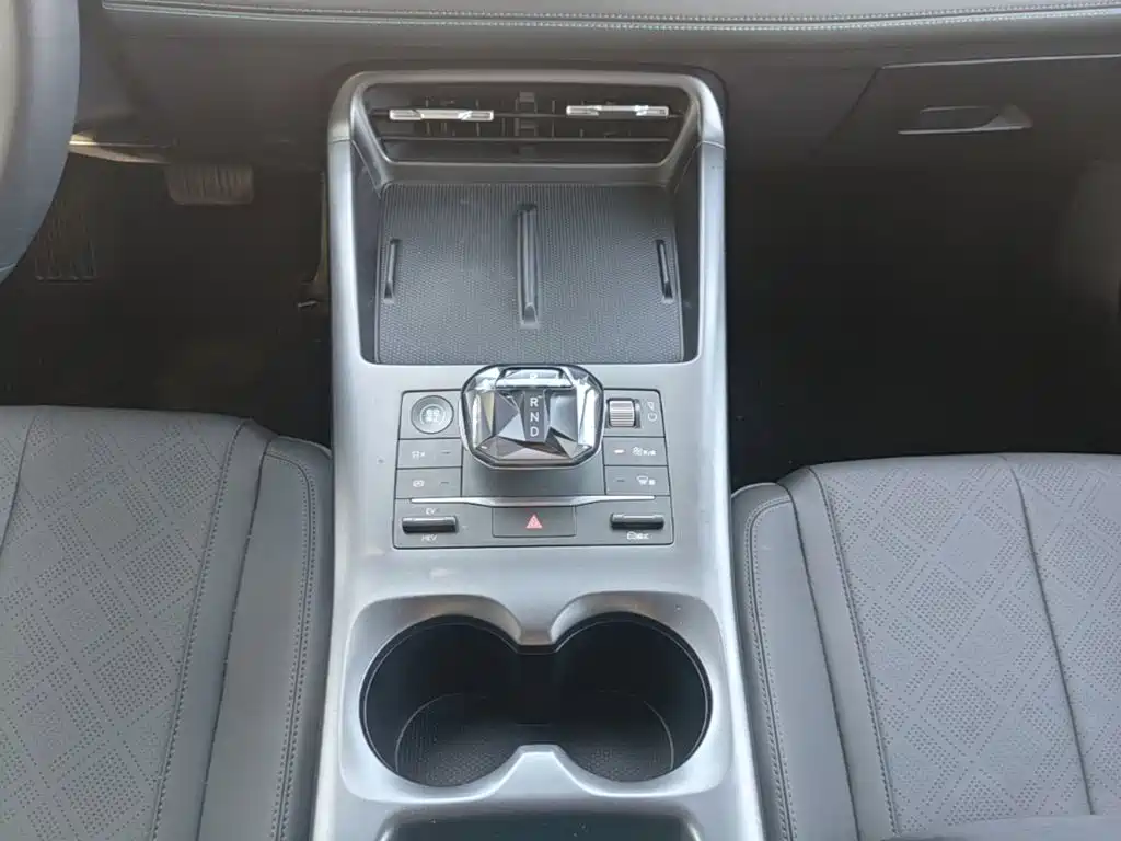 BYD Qin PLUS — фото 14