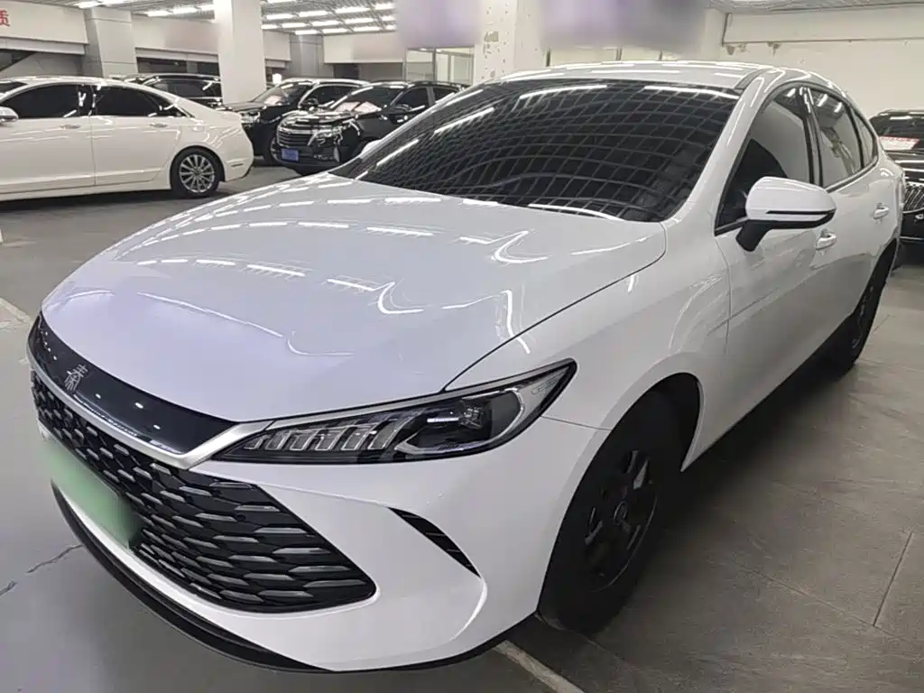 BYD Qin PLUS — фото 2
