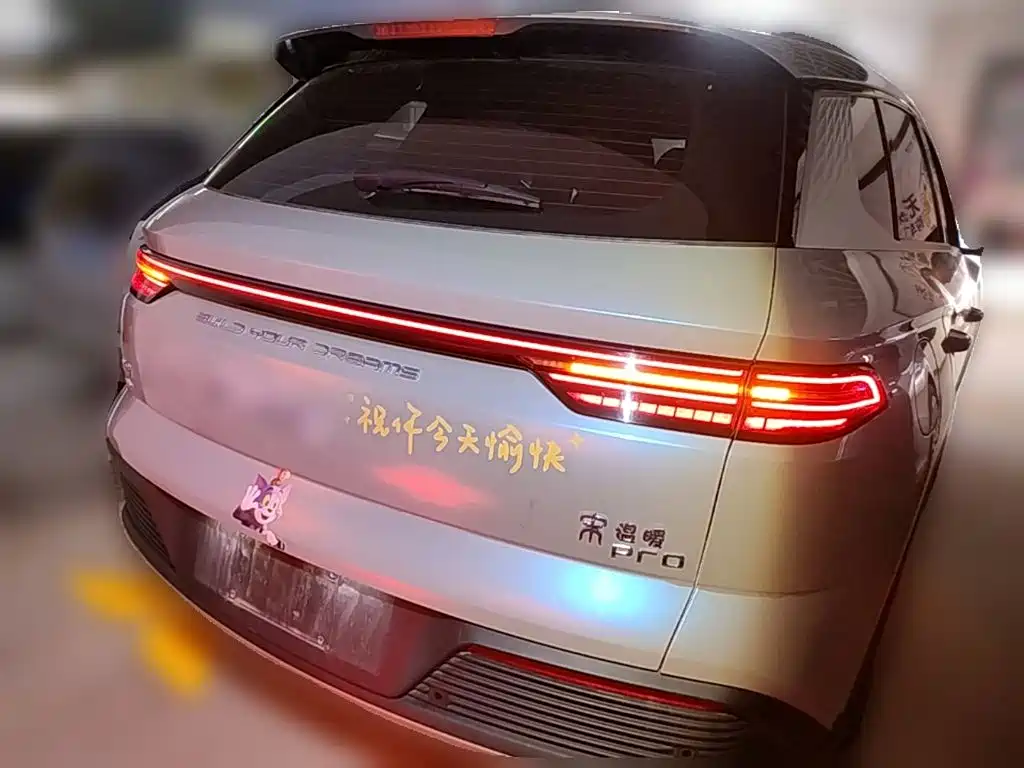 BYD Pro New Energy — фото 8