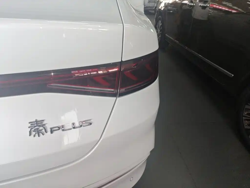 BYD Qin PLUS — фото 8
