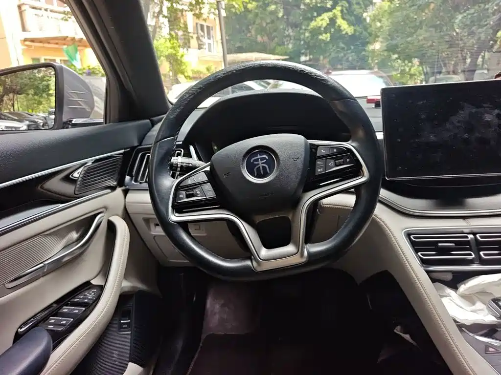 BYD PLUS New Energy — фото 3