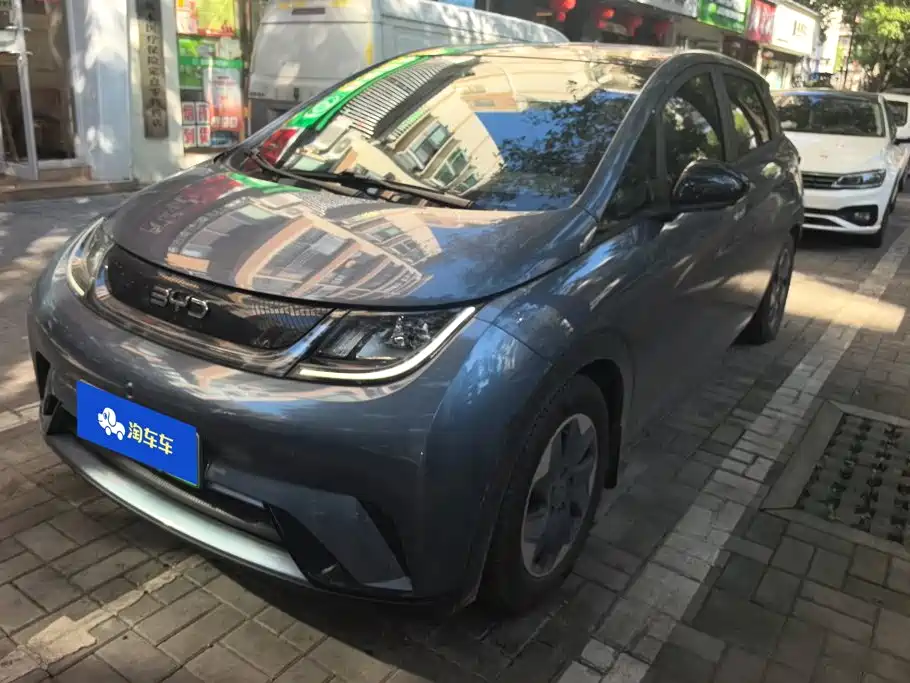 BYD Dolphin
