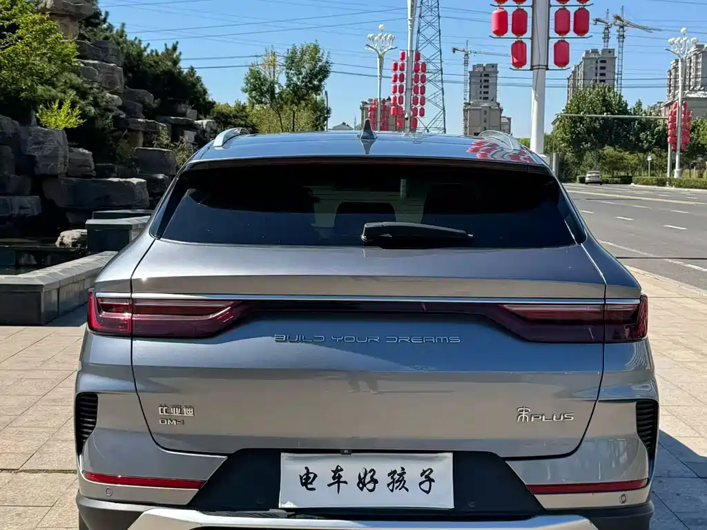 BYD PLUS New Energy — фото 4