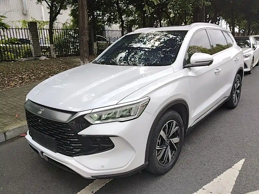 BYD Pro New Energy