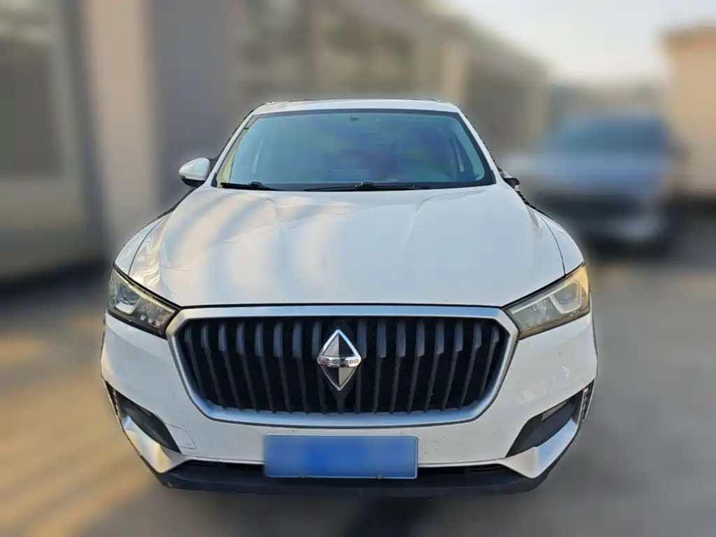 Borgward BX5 — фото 23