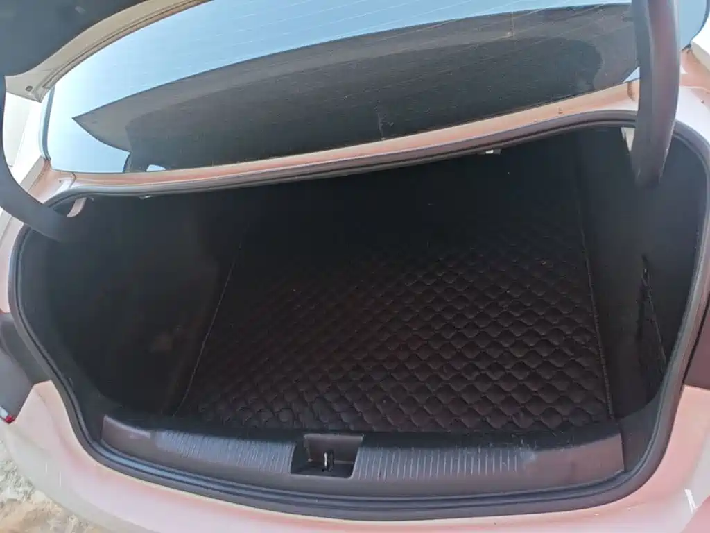 Buick Regal — фото 19