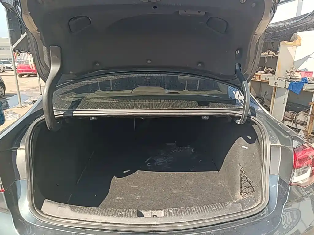 Buick Regal — фото 19