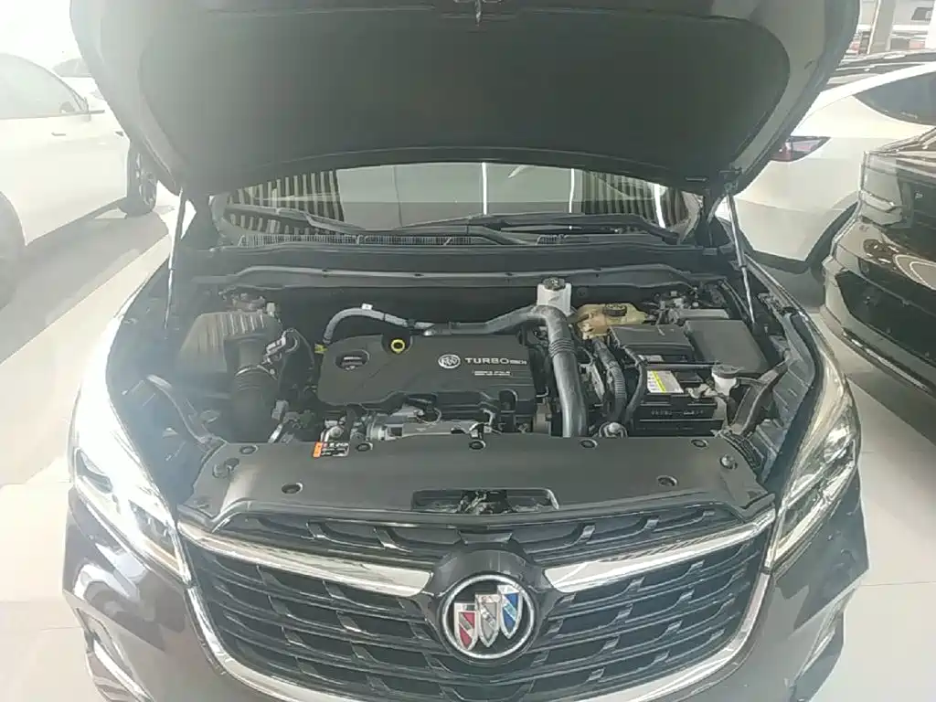 Buick Envision Plus — фото 20