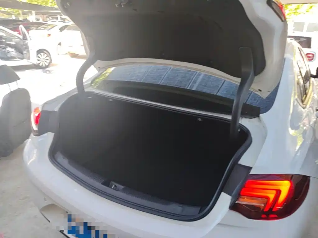 Buick Regal — фото 19