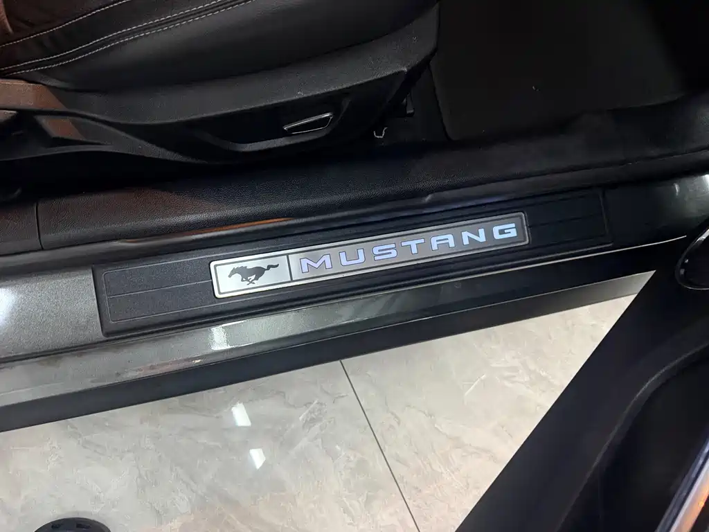Ford Mustang — фото 15
