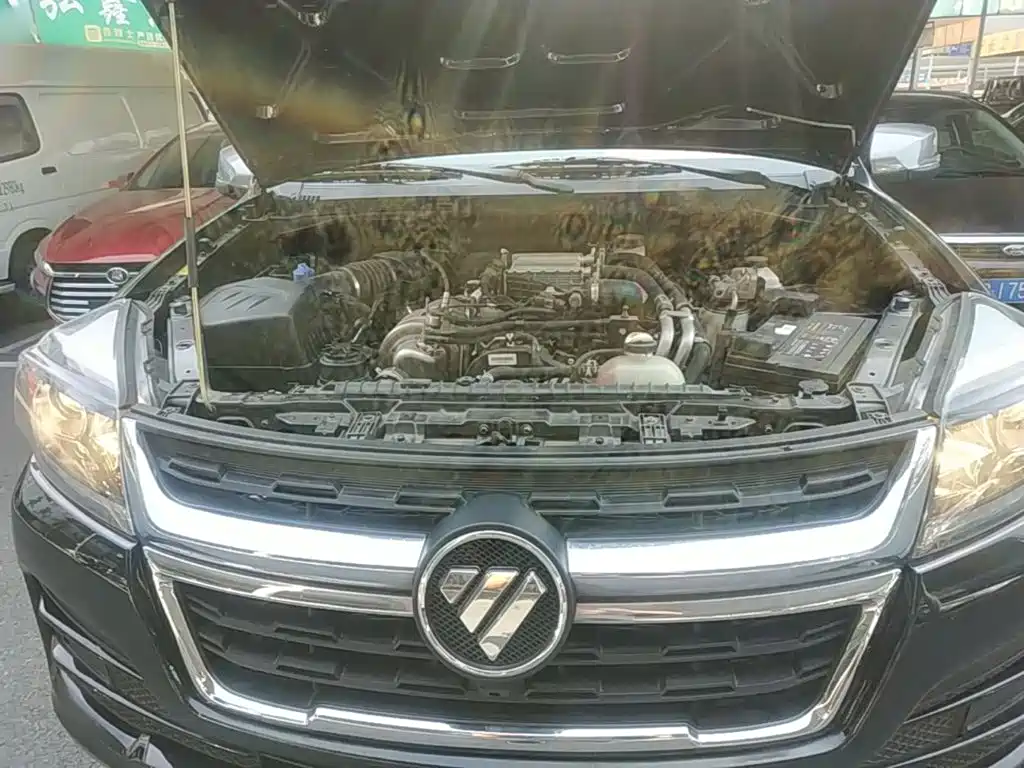 Foton Foton Tunland 5 — фото 20