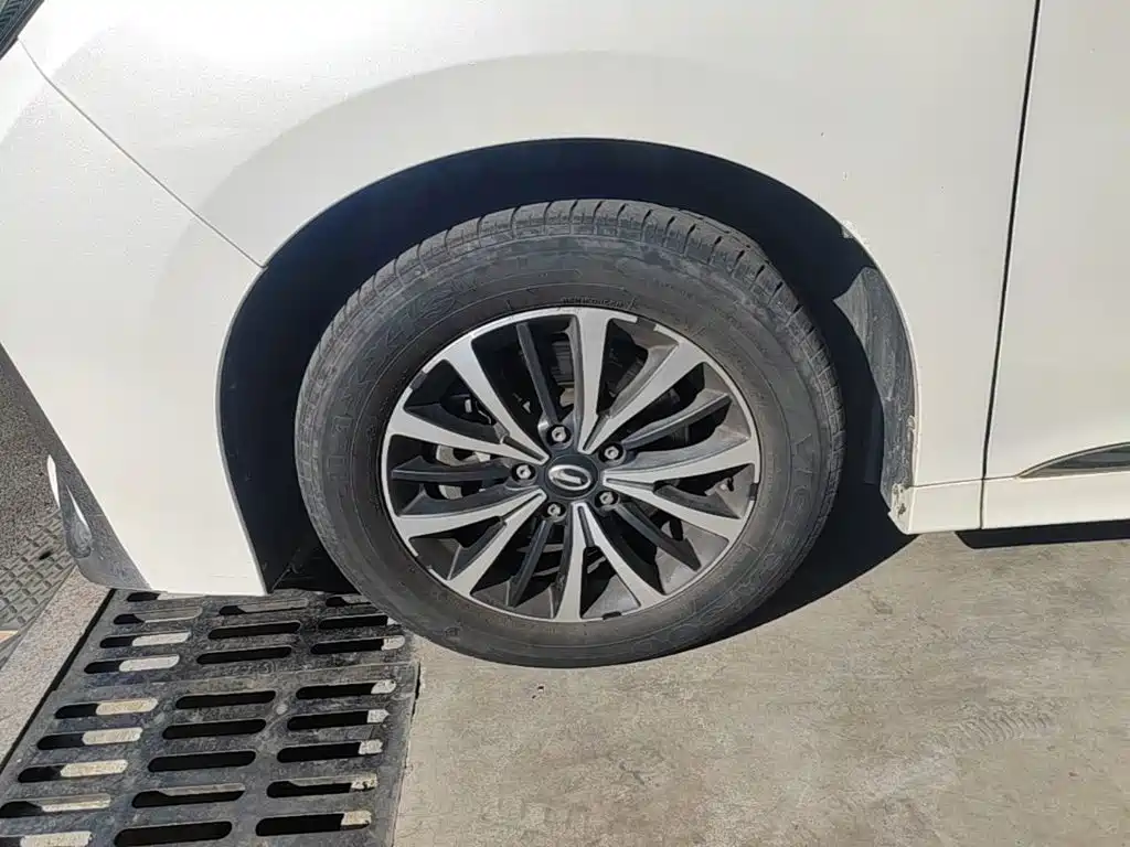 GAC Motor Trumpchi M8 — фото 23