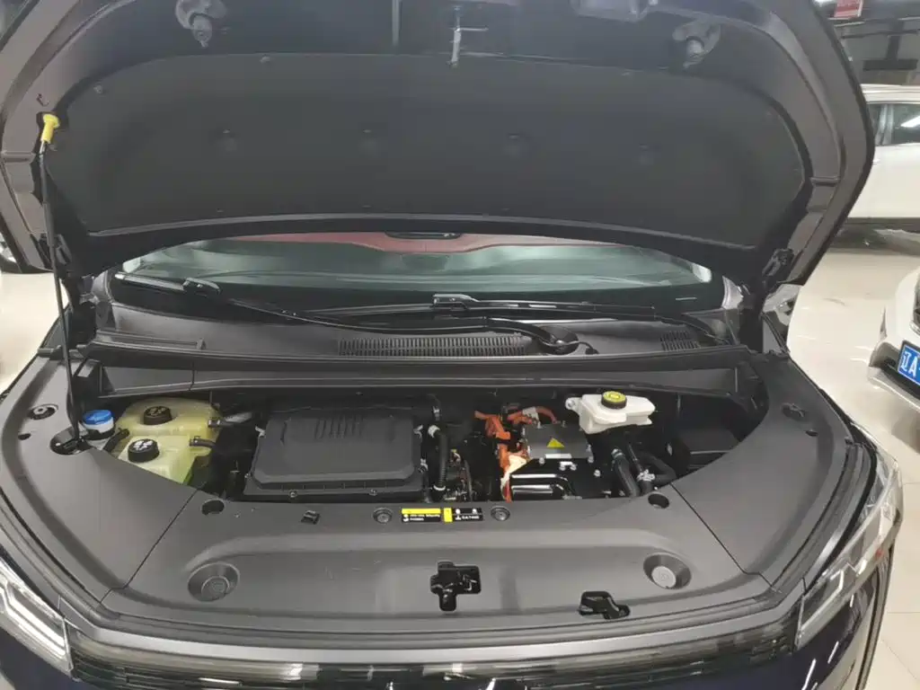 GAC Motor Trumpchi E9 — фото 20