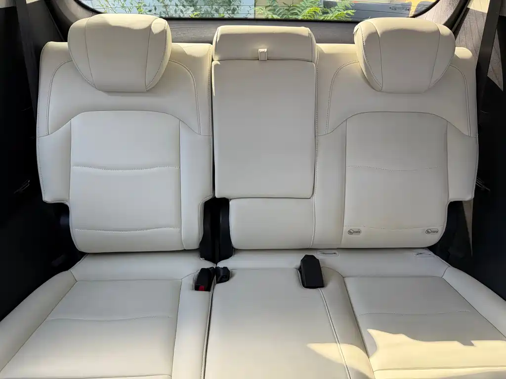 GAC Motor Trumpchi E9 — фото 8
