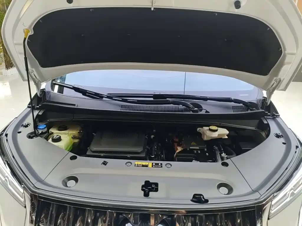 GAC Motor Trumpchi E9 — фото 20