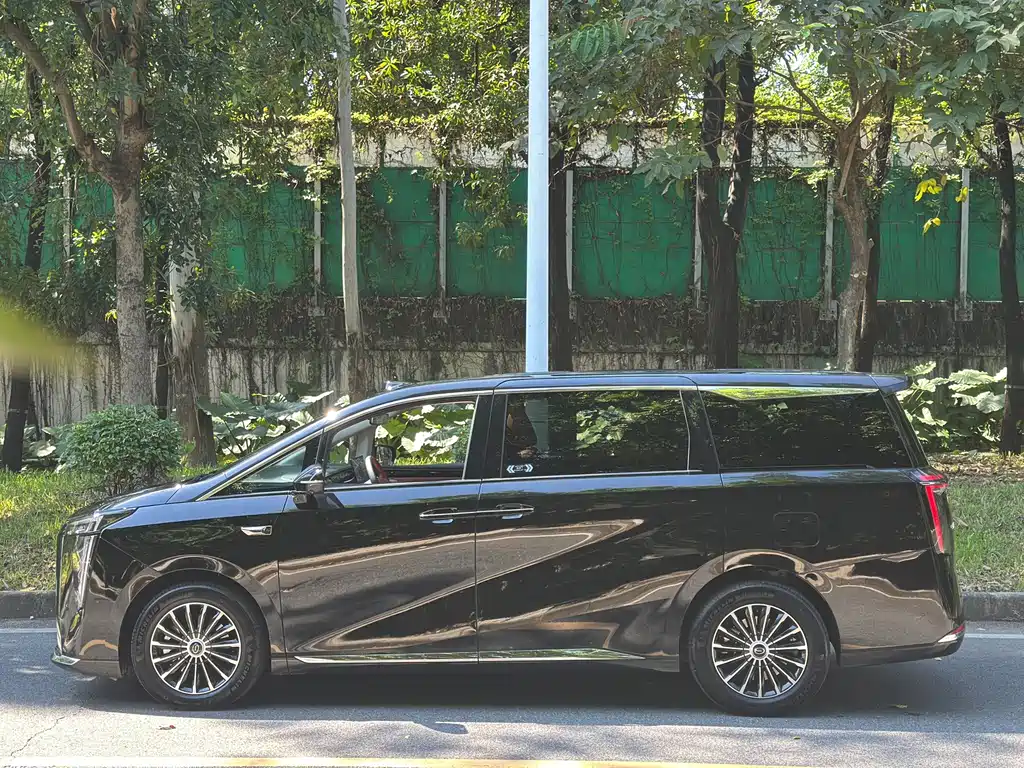 GAC Motor Trumpchi Xiangwang M8 — фото 3