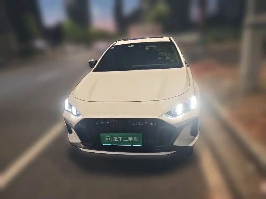 GAC Motor Shadow Leopard — фото 2