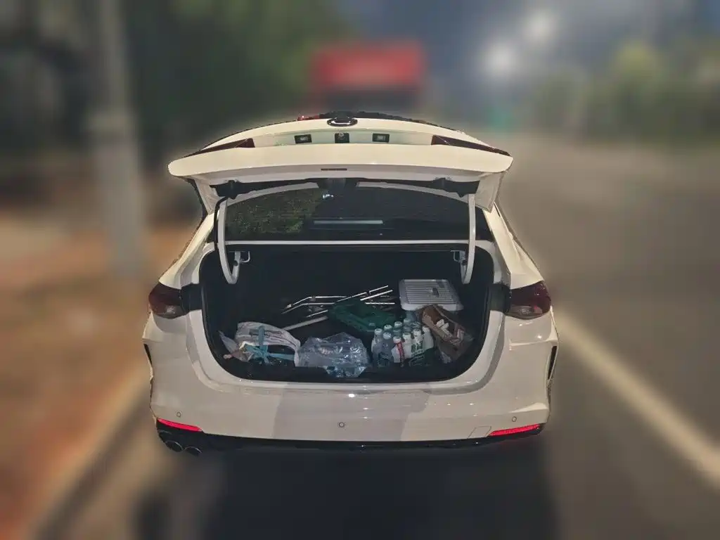 GAC Motor Shadow Leopard — фото 20