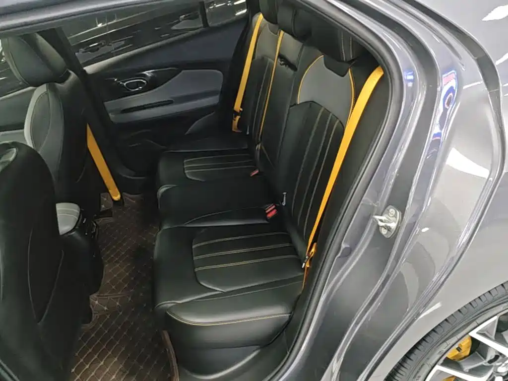 GAC Motor Shadow Leopard — фото 17