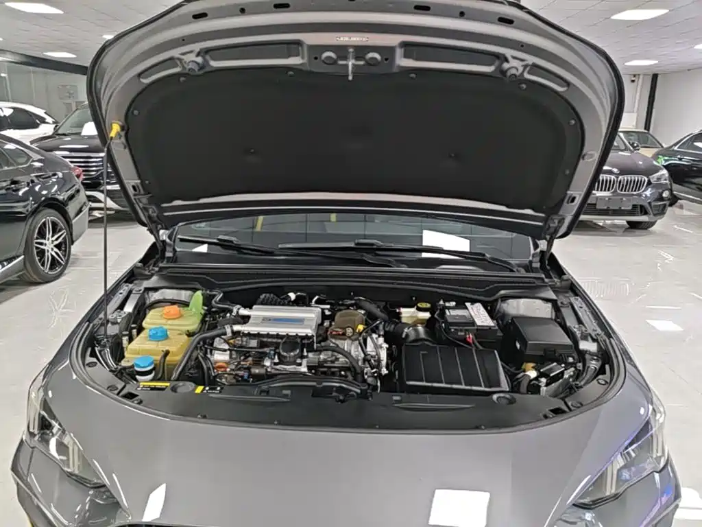 GAC Motor Shadow Leopard — фото 20