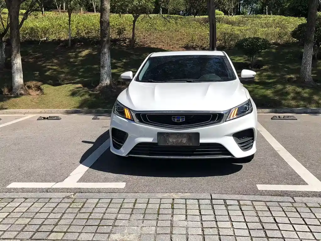 Geely Binrui — фото 2