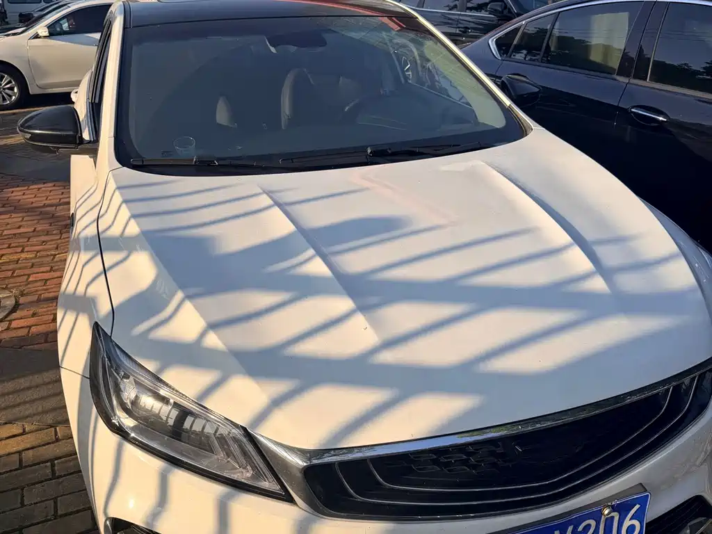 Geely Binrui — фото 6