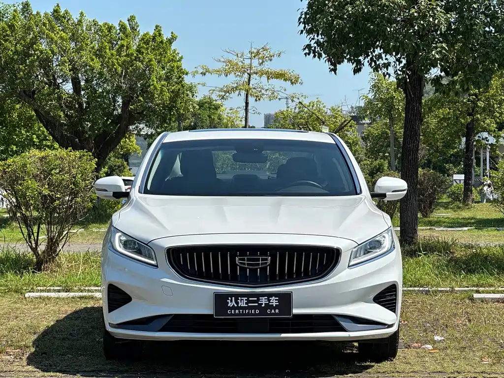 Geely Borui — фото 2
