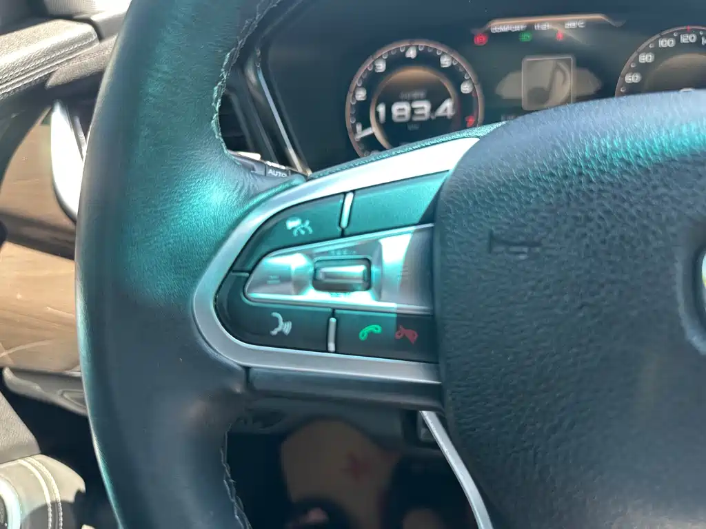 Geely Borui — фото 7