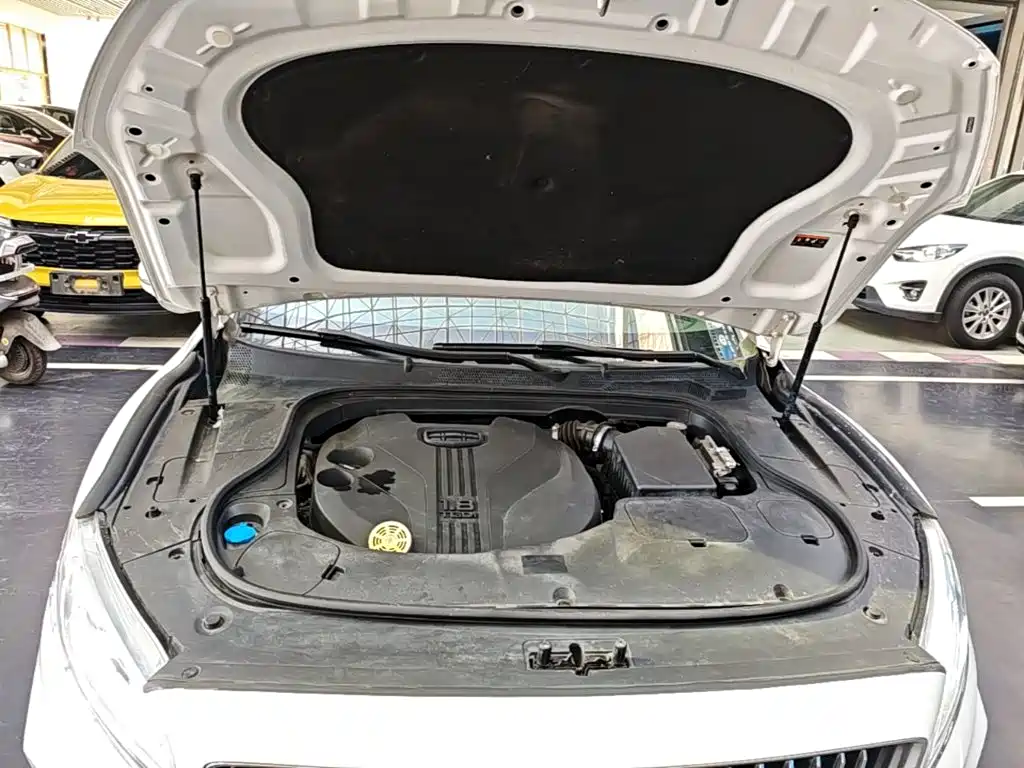 Geely Borui — фото 20