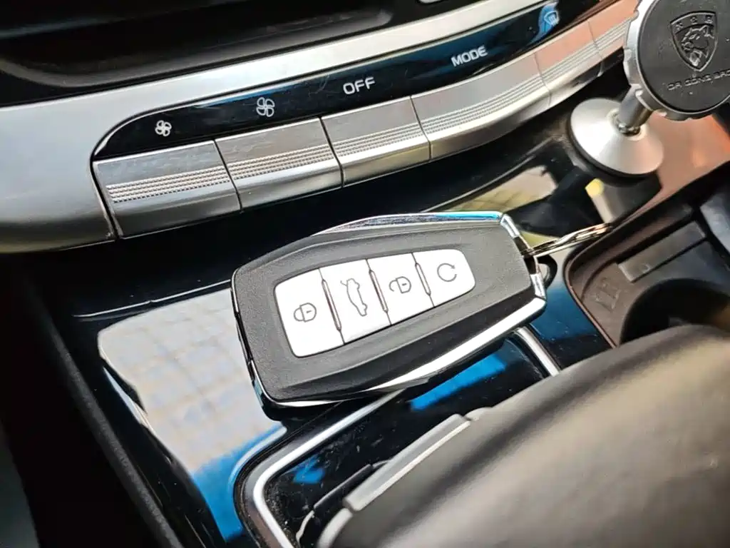 Geely Borui — фото 9