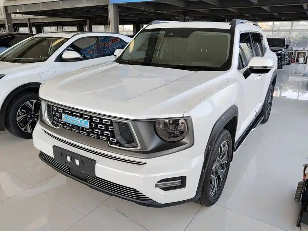 Haval Big Dog PLUS New Energy — фото 2