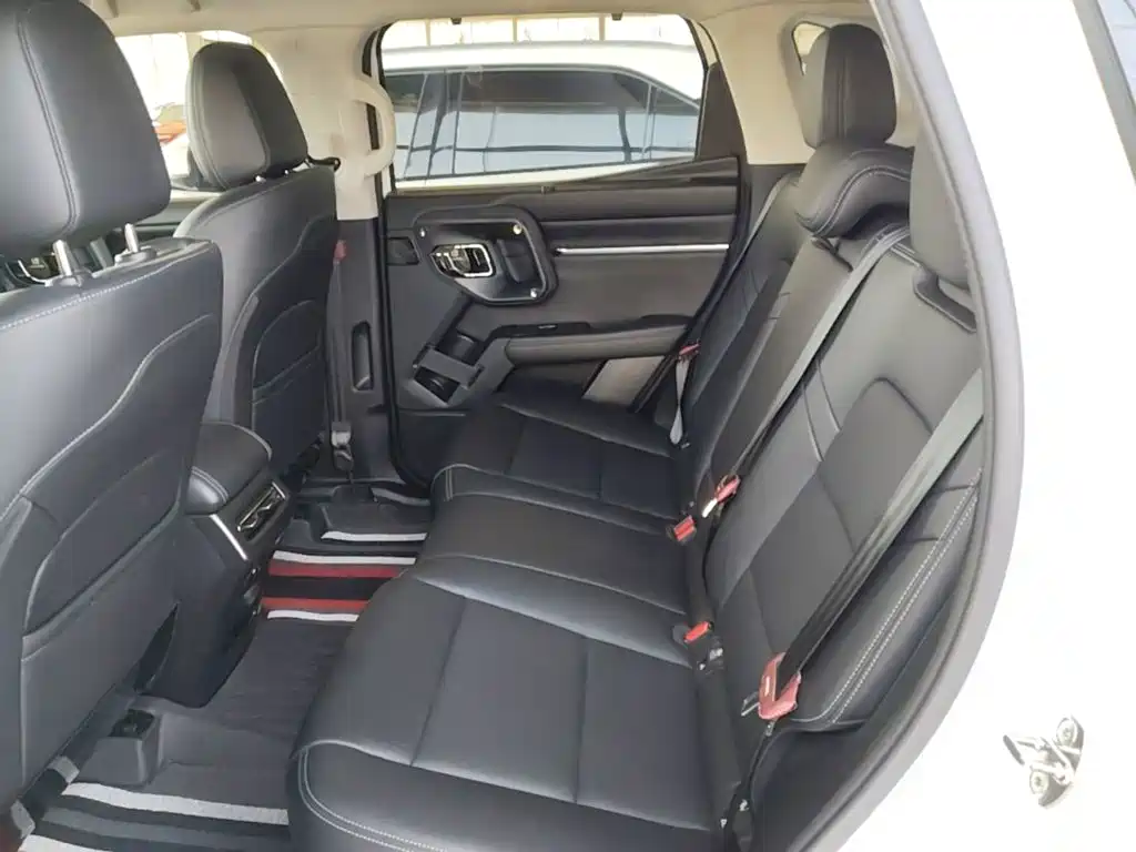Haval Big Dog PLUS New Energy — фото 17