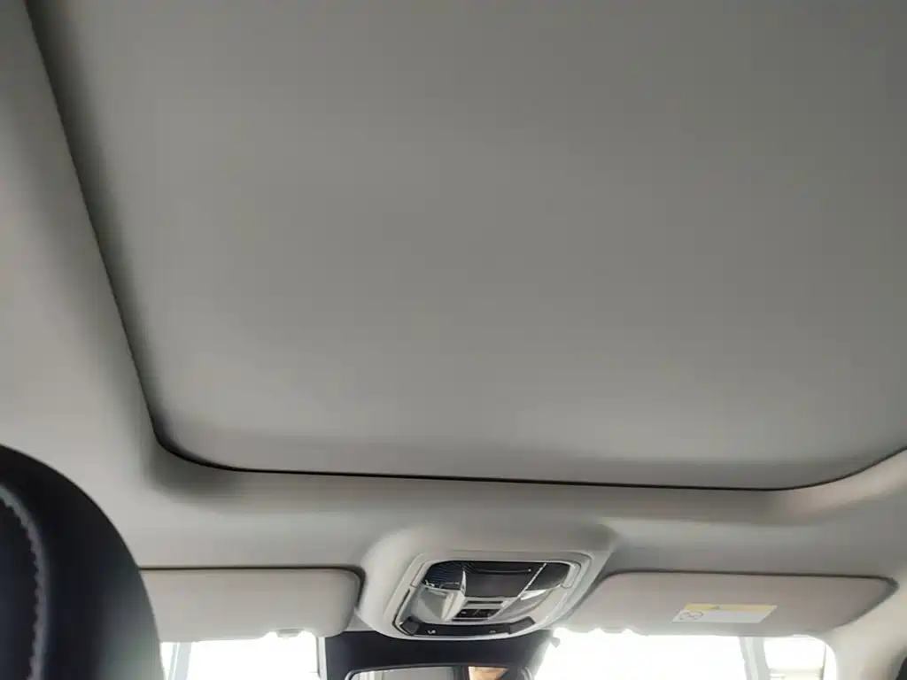 Haval Big Dog PLUS New Energy — фото 18