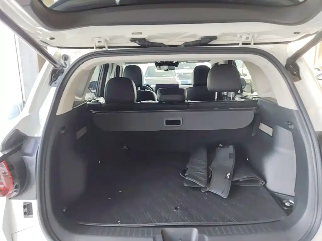 Haval Big Dog PLUS New Energy — фото 19