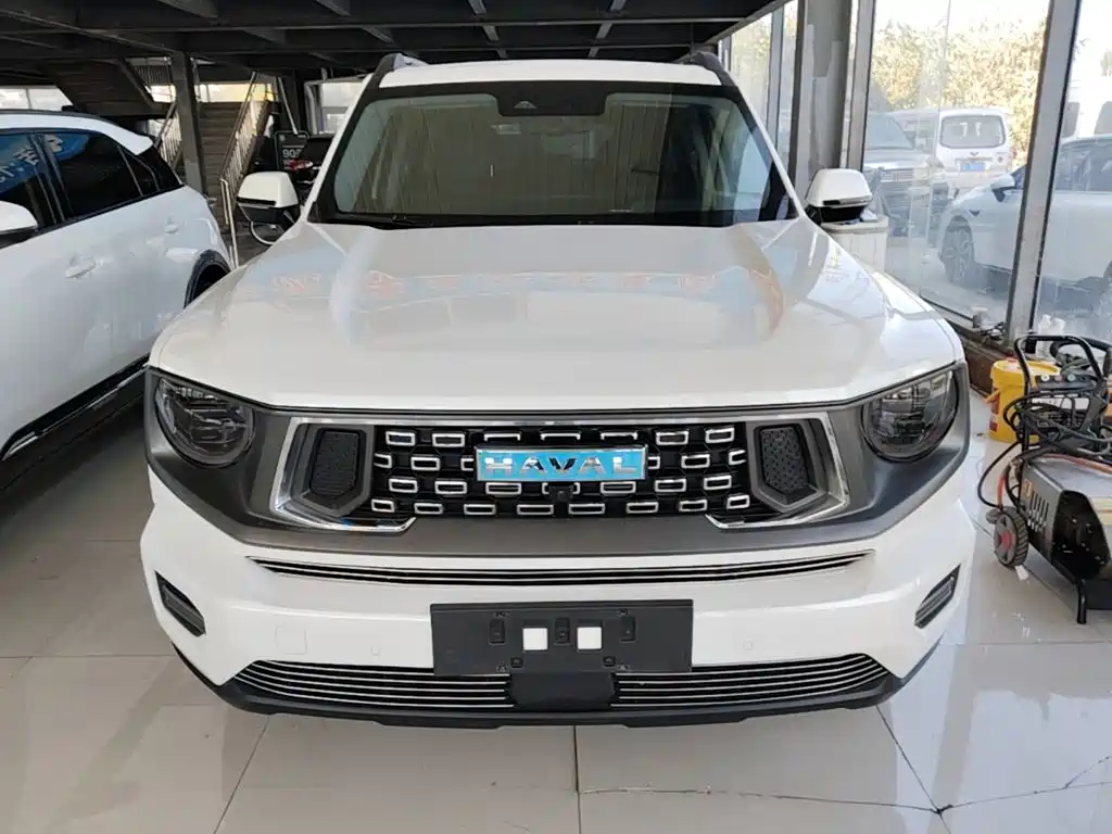 Haval Big Dog PLUS New Energy — фото 3
