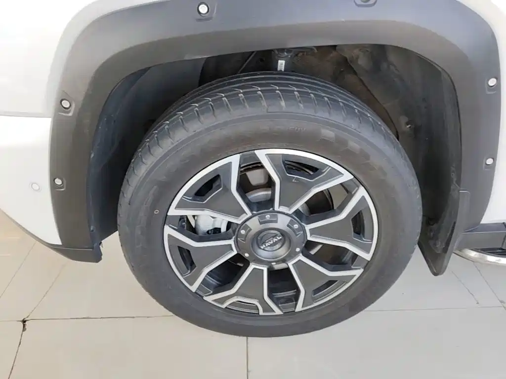 Haval Big Dog PLUS New Energy — фото 23