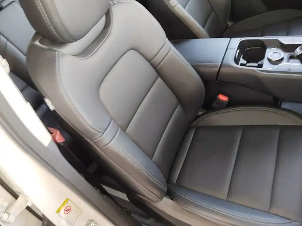 Haval Big Dog PLUS New Energy — фото 25