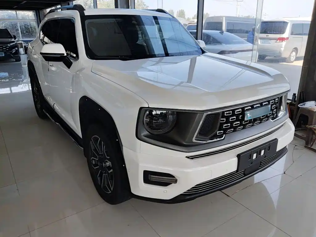 Haval Big Dog PLUS New Energy — фото 4