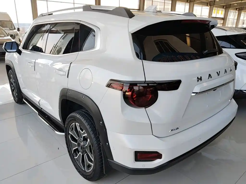 Haval Big Dog PLUS New Energy — фото 5