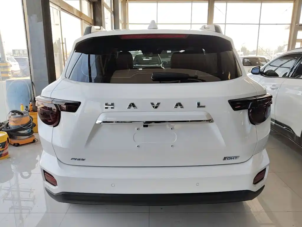 Haval Big Dog PLUS New Energy — фото 6