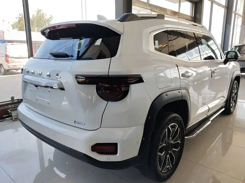 Haval Big Dog PLUS New Energy — фото 7