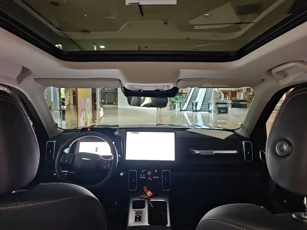 Haval Big Dog — фото 18