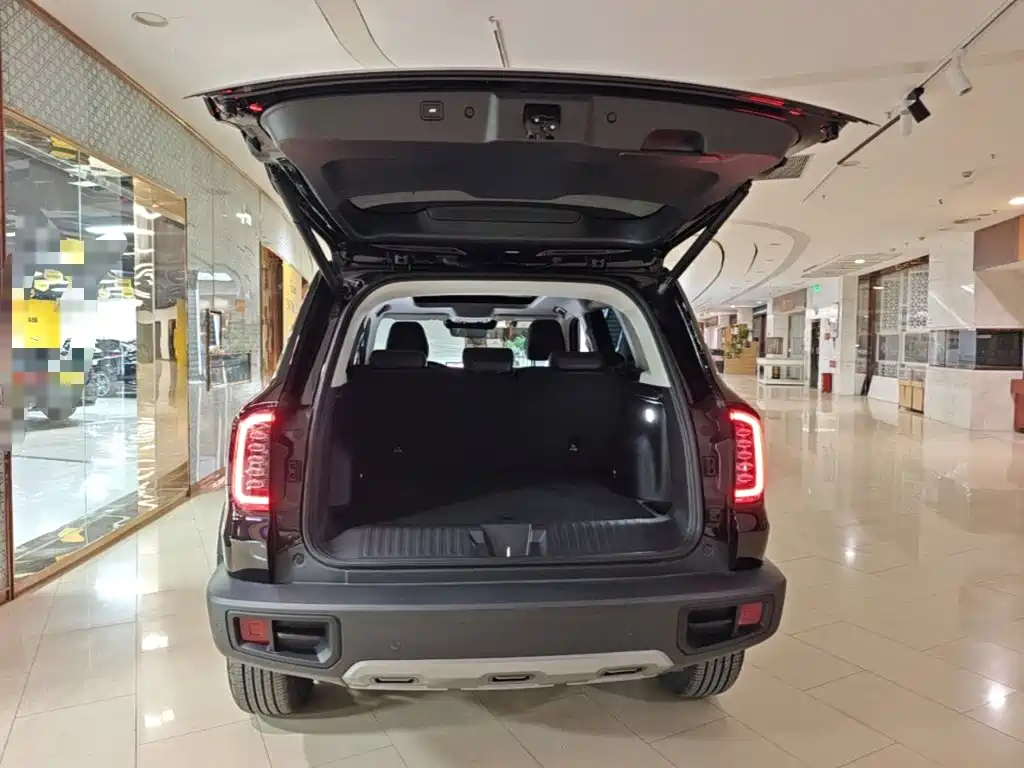 Haval Big Dog — фото 19