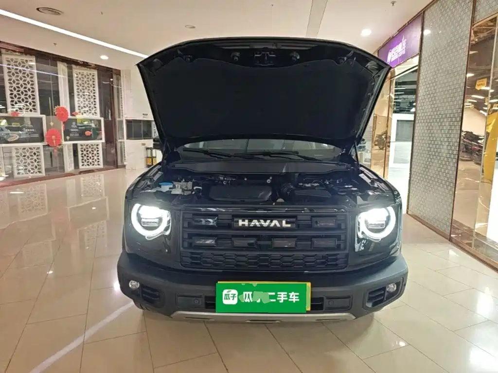 Haval Big Dog — фото 20