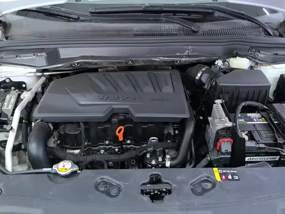 Haval H6 Coupe — фото 10